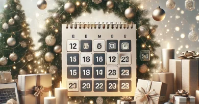 ofertas navidad 2024