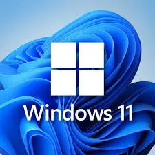Windows 11 Professionnel